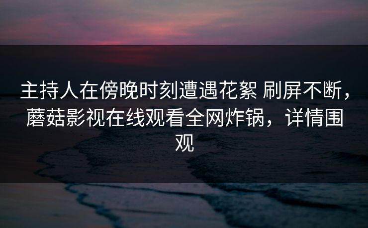 主持人在傍晚时刻遭遇花絮 刷屏不断，蘑菇影视在线观看全网炸锅，详情围观
