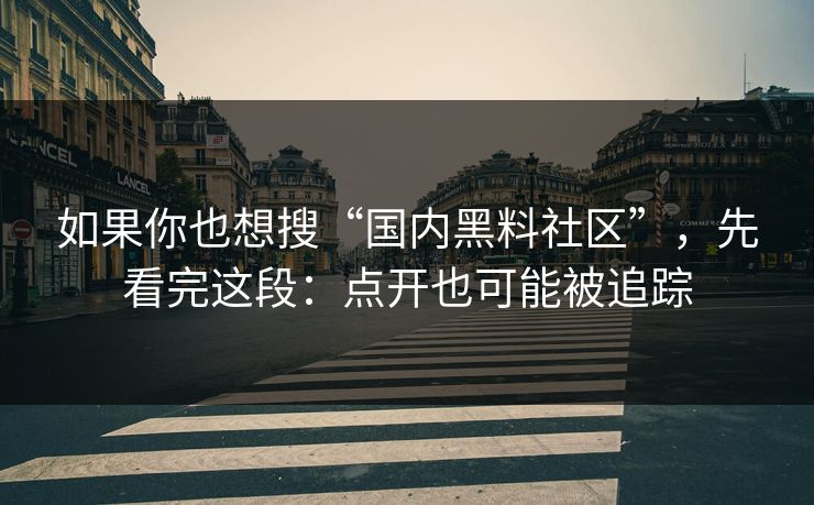 如果你也想搜“国内黑料社区”,先看完这段:点开也可能被追踪